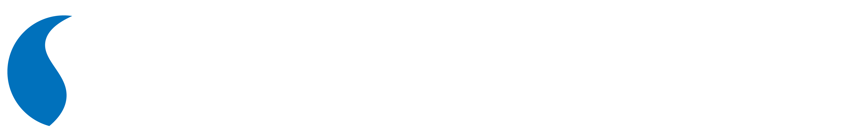 Southern Financial Wealth Management
